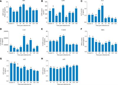 Integrated analysis of immune parameters, miRNA-mRNA interaction, and immune genes expression in the liver of rainbow trout following infectious hematopoietic necrosis virus infection